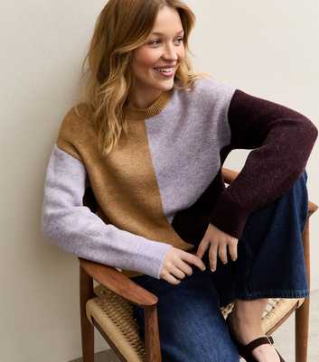 Purple, Camel and Burgundy Colour Block Crew Neck Jumper