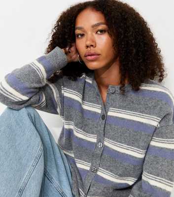 Blue Knitted Vertical Stripe Meet The Jean Cardigan