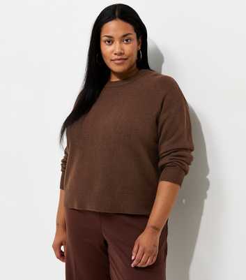 Curves Brown Midweight Knit Crew Neck Jumper