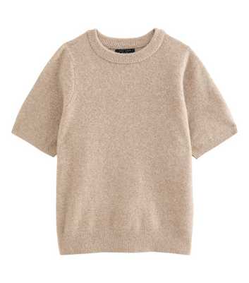 Curves Light Mink Brushed Knit Set In Sleeve T-Shirt