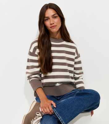 Petite Brown Narrow Stripe Crew Neck Knit Jumper