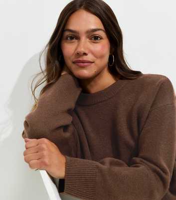 Petite Brown Midweight Crew Neck Jumper