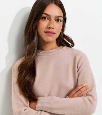 Petite Light Pink Set In Sleeve Crew Neck Knitted Jumper