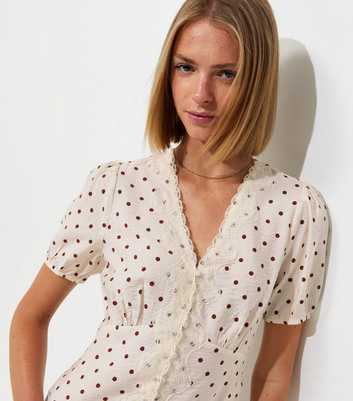 Brown Crinkle Texture Spot Print Lace Trim Button Tea Blouse