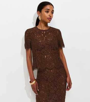 Dark Brown Scalloped Lace Short Sleeve Top