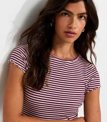 Burgundy Striped Ribbed Babylock T-Shirt