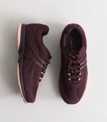 Dark Burgundy Mesh Panelled Lace Up Trainers