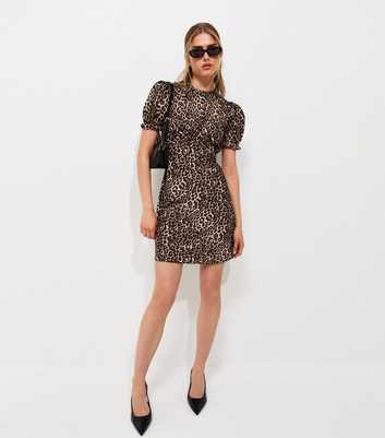 Brown Animal Print Short Sleeve Mini Dress