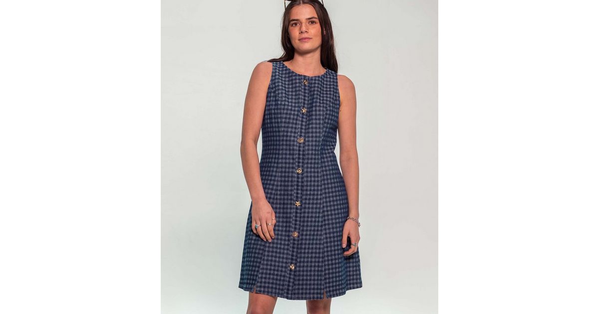 Sunshine Soul Blue Gingham Denim Sleeveless Mini Dress