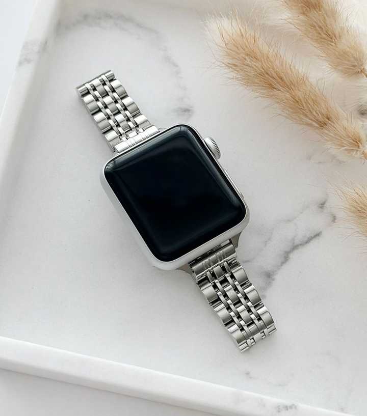Coconut Lane Silver Slim Links Apple Watch Strap