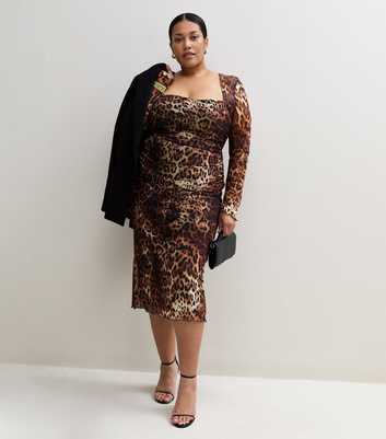 Curves Brown Leopard Print Mesh Square Neck Midi Dress