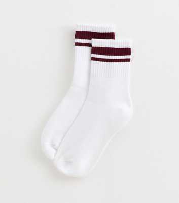 Dark Burgundy Cotton Rich Striped Tube Socks