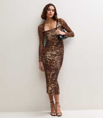 Tall Brown Long Sleeve Leopard Print Mesh Square Neck Midi Dress